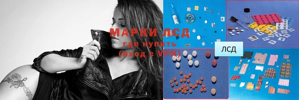 прущие грибы Армянск