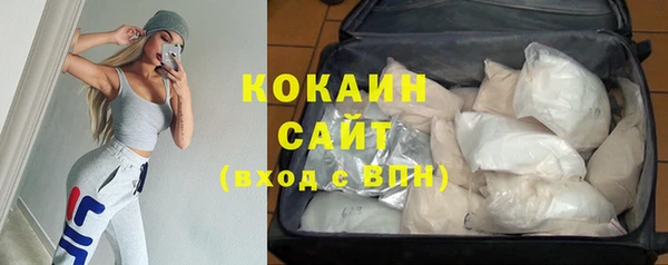 прущие грибы Армянск