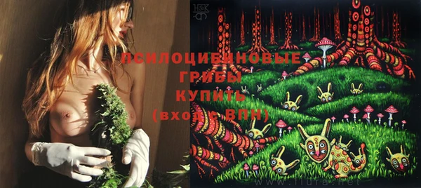 apvp Аркадак