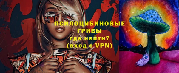 прущие грибы Армянск