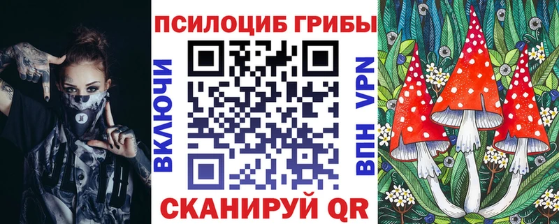 Псилоцибиновые грибы Cubensis  Артёмовский 